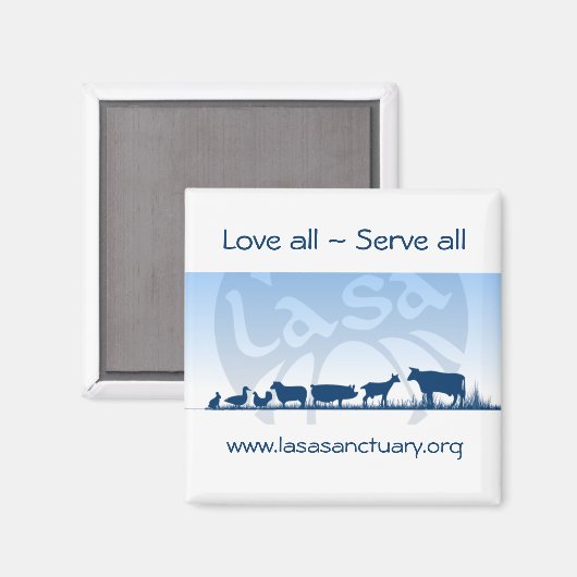 Lasa Magnet (Voorkant / Achterkant)