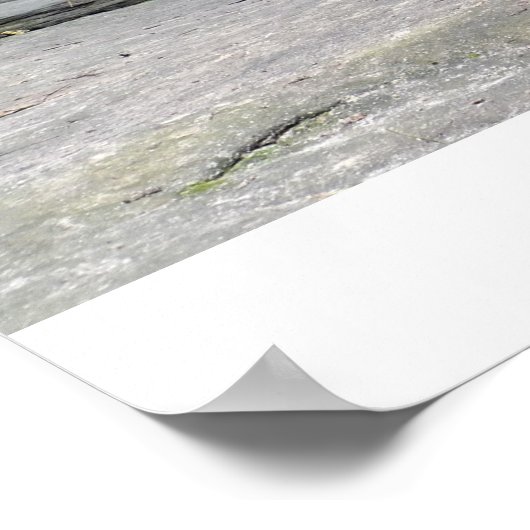 LaSalle Canyon Poster (Hoek)