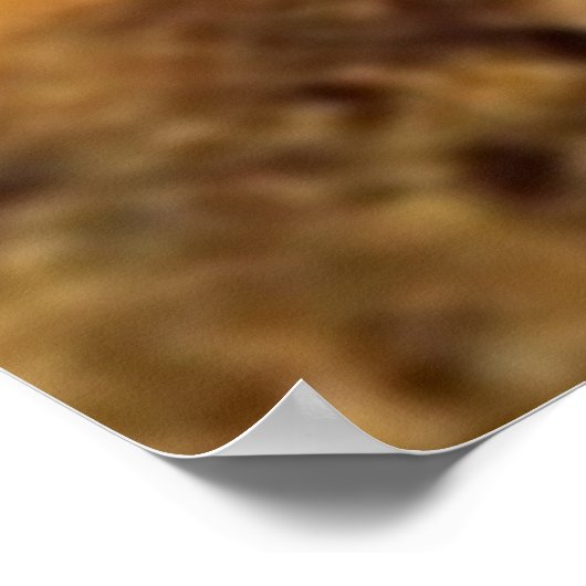 Lascaux Bison Poster (Hoek)