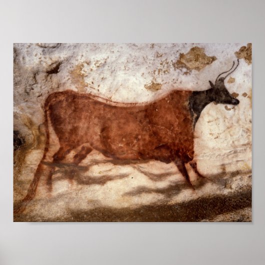 Lascaux Cave Poster (Voorkant)