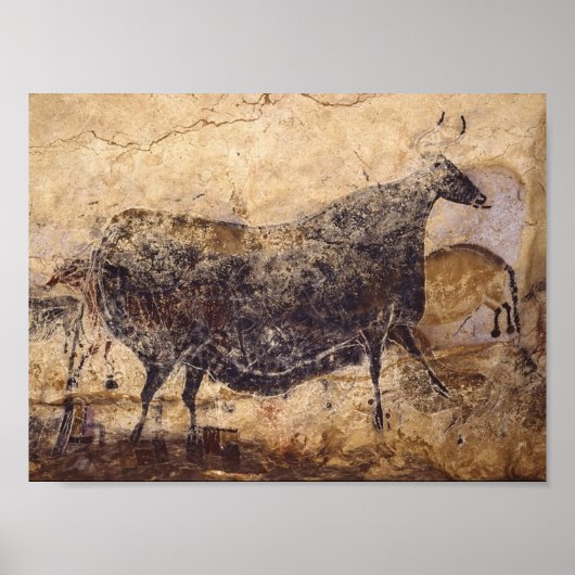 Lascaux Cave Poster (Voorkant)