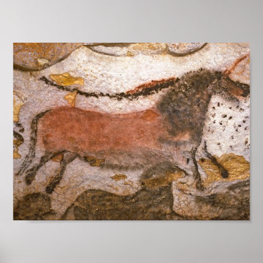Lascaux Cave Poster (Voorkant)