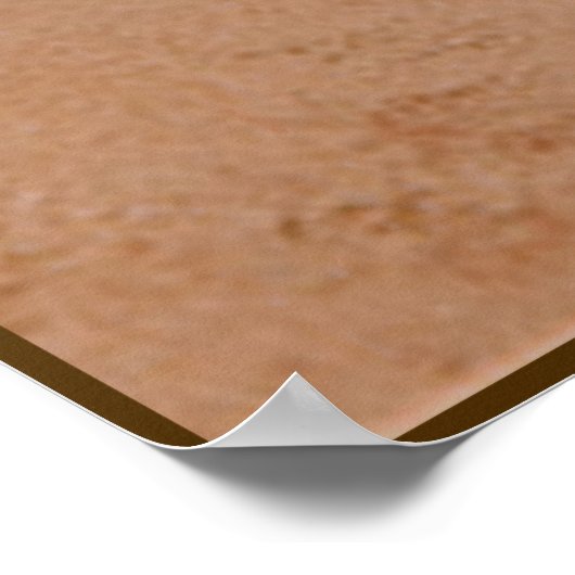 Lascaux Horse 2 Poster (Hoek)