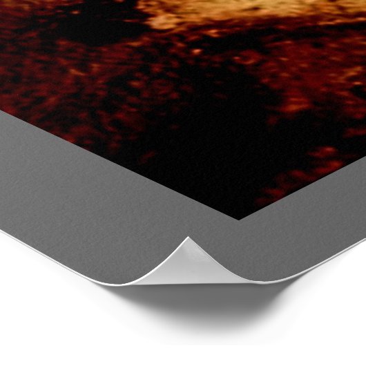 Lascaux Horse Poster (Hoek)