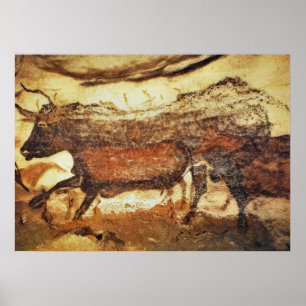 Lascaux prehistorische grotschildering poster
