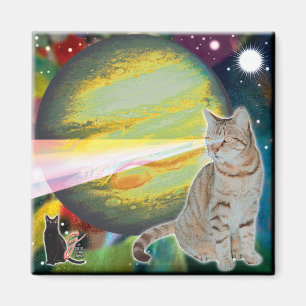 Laser-Cat Mosbody Magneet