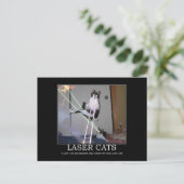 Laser Cats Briefkaart (Staand voorkant)