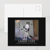 Laser Cats Briefkaart (Voorkant / Achterkant)