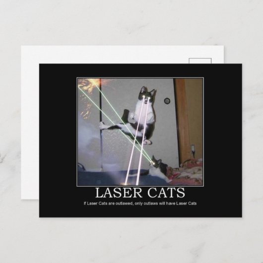 Laser Cats Briefkaart (Voorkant / Achterkant)