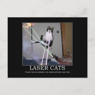 Laser Cats Briefkaart