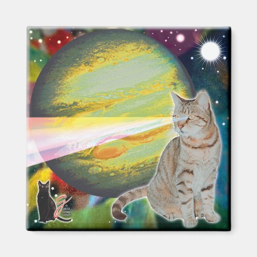 Laser-Kat Mossbody Magneet (Voorkant)