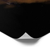 Laserkat vernietigt de stad met pokken Schattig K Poster (Hoek)