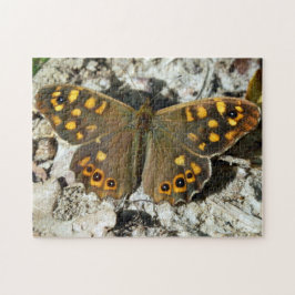 Lasiommata Westwood Butterfly Foto Puzzle Legpuzzel