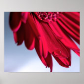 Lass Blüten Sprechen Poster (Voorkant)