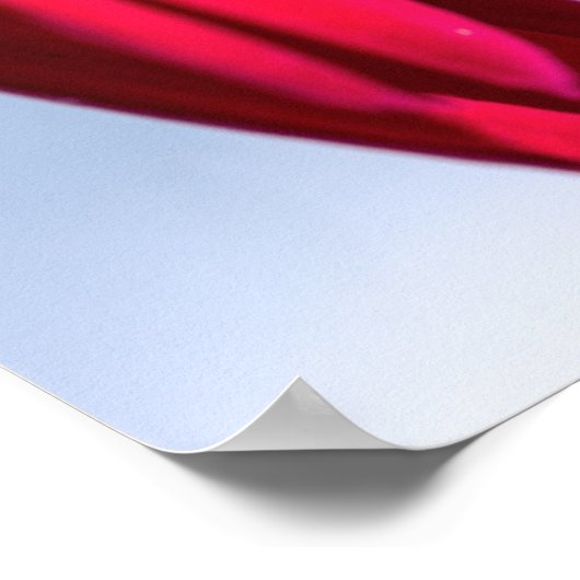 Lass Blüten Sprechen Poster (Hoek)