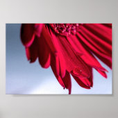 Lass Blüten Sprechen Poster (Voorkant)