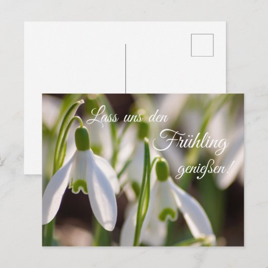 Lass uns den Frühling genießen! Briefkaart (Voorkant / Achterkant)