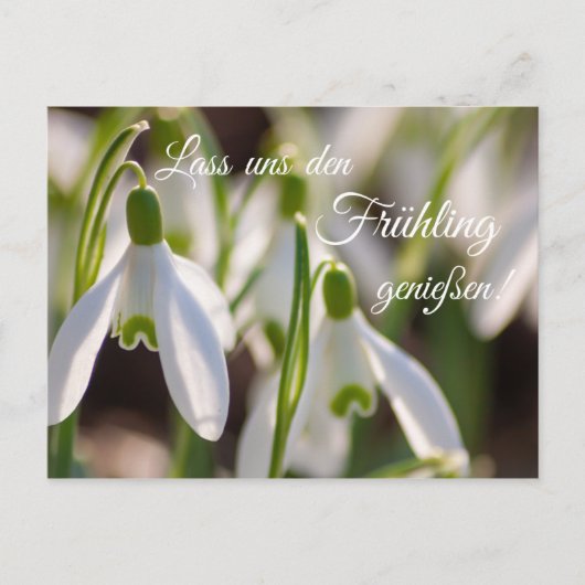 Lass uns den Frühling genießen! Briefkaart (Voorkant)