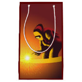 Lassen Klein Cadeauzakje (Voorkant)