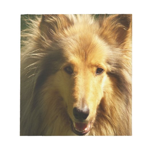 Lassie Collie Notitieblok (Voorkant)