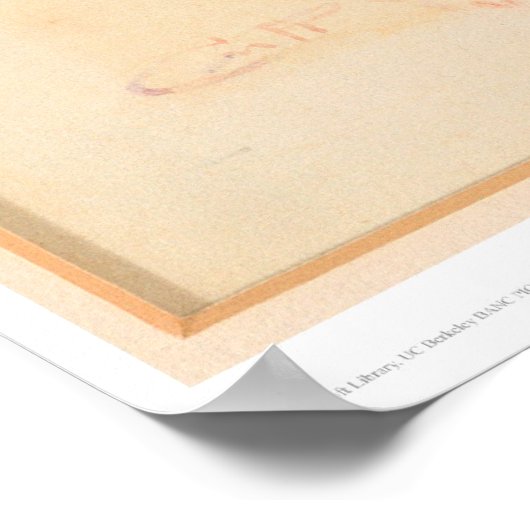 Lassoing Steer 1905 (1418A) Poster (Hoek)