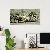 Last Deadwood Coach 1890 Poster (Thuiskantoor)