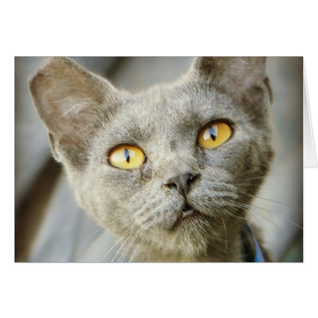 Last Hope is Jean Gray (Voorkant Horizontaal)