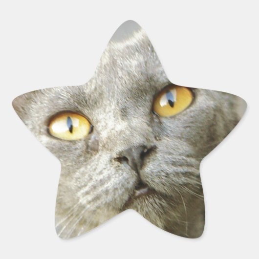 Last Hope is Jean Gray Ster Sticker (Voorkant)