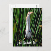 Lastbittern, gewoon Hangin uit. Briefkaart (Voorkant / Achterkant)