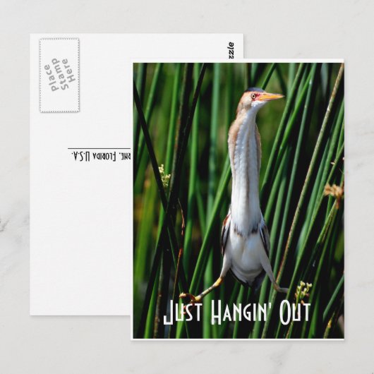 Lastbittern, gewoon Hangin uit. Briefkaart (Voorkant / Achterkant)