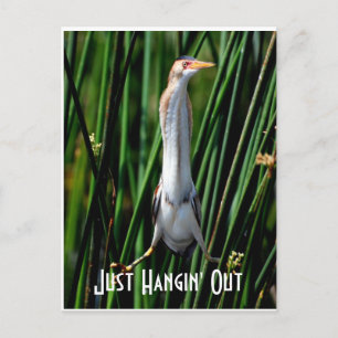 Lastbittern, gewoon Hangin uit. Briefkaart