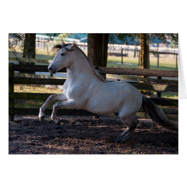 Lasten (Voorkant Horizontaal)