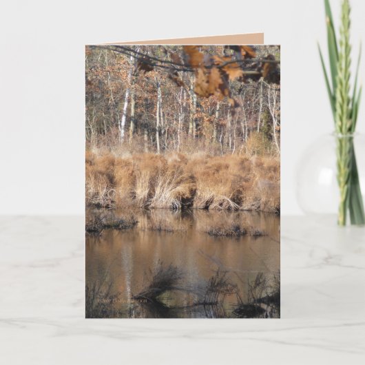 Late Autumn Kaart (Voorkant)