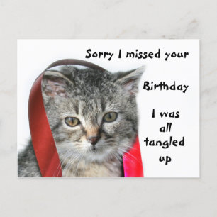 Late Birthday kitten Briefkaart