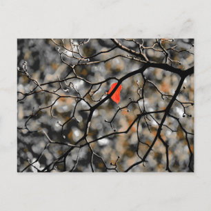 Late herfst briefkaart