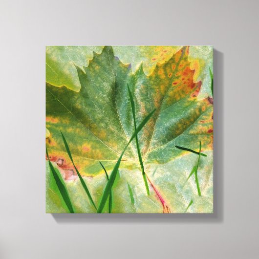 Late herfst canvas afdruk (Voorkant)