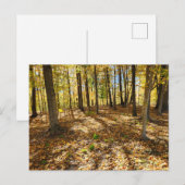 Late Herfst in de Bossen Briefkaart (Voorkant / Achterkant)