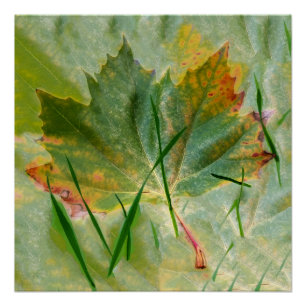 Late herfst perfect poster