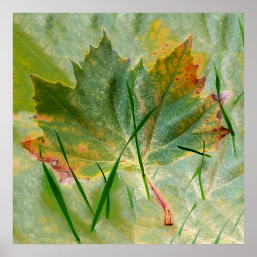 Late herfst poster (Voorkant)