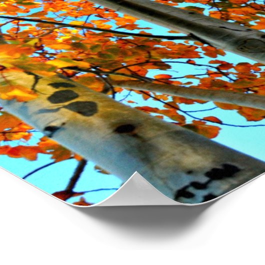 Late herfst vanmiddag poster (Hoek)