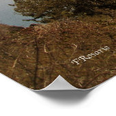 Late lente in het meer van Tahoe (Poster) Poster (Hoek)