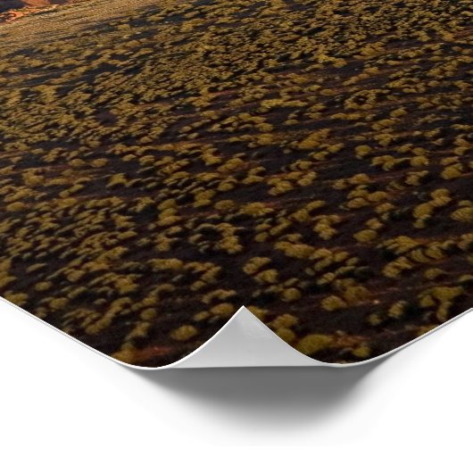 Late middag Light op Uluru / Ayers Rock, Poster (Hoek)