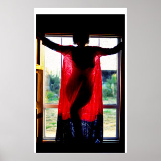 late namiddag, Baja, Californië Poster