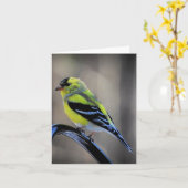 Late namiddag goudvink blanco binnen kaart (Gele Bloem)