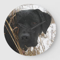Late Season Hunt - Black Lab - Labrador