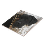 Late Season Hunt - Black Lab - Labrador Tegeltje (Zijkant)