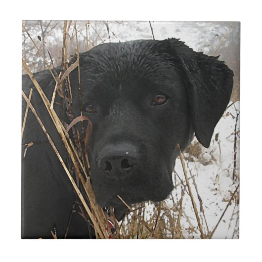 Late Season Hunt - Black Lab - Labrador Tegeltje (Voorkant)