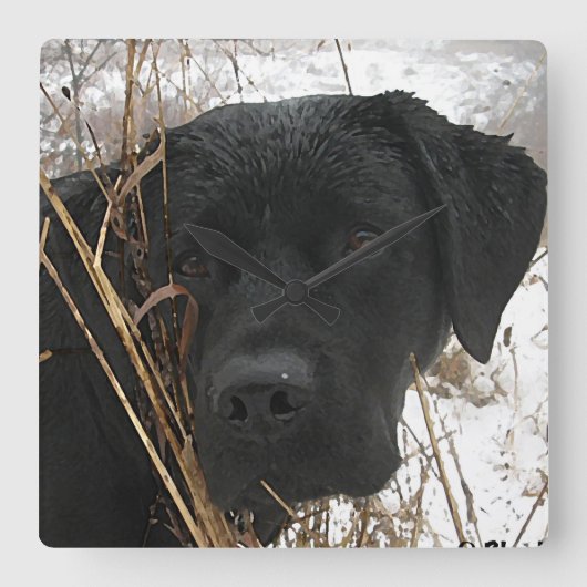 Late Season Hunt - Black Lab - Labrador Vierkante Klok (Voorkant)