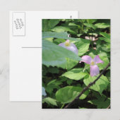 Late Season Trillium Briefkaart (Voorkant / Achterkant)