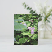 Late Season Trillium Briefkaart (Staand voorkant)